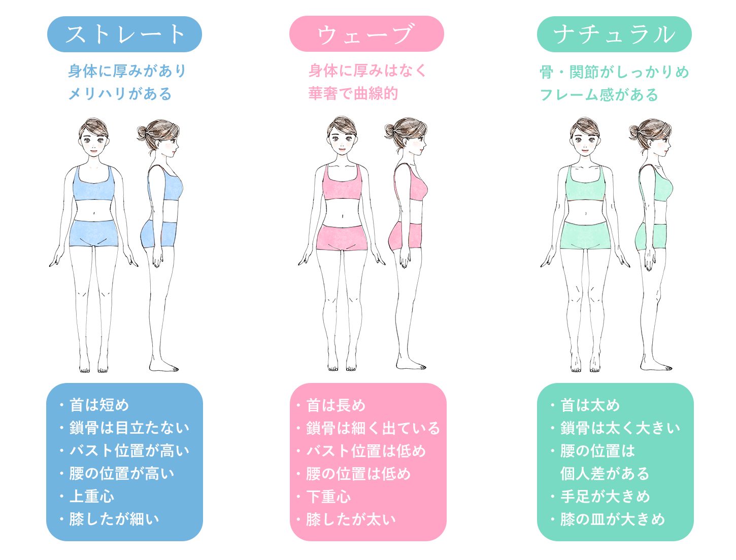 骨格診断 骨格診断について Atelier Sayaka